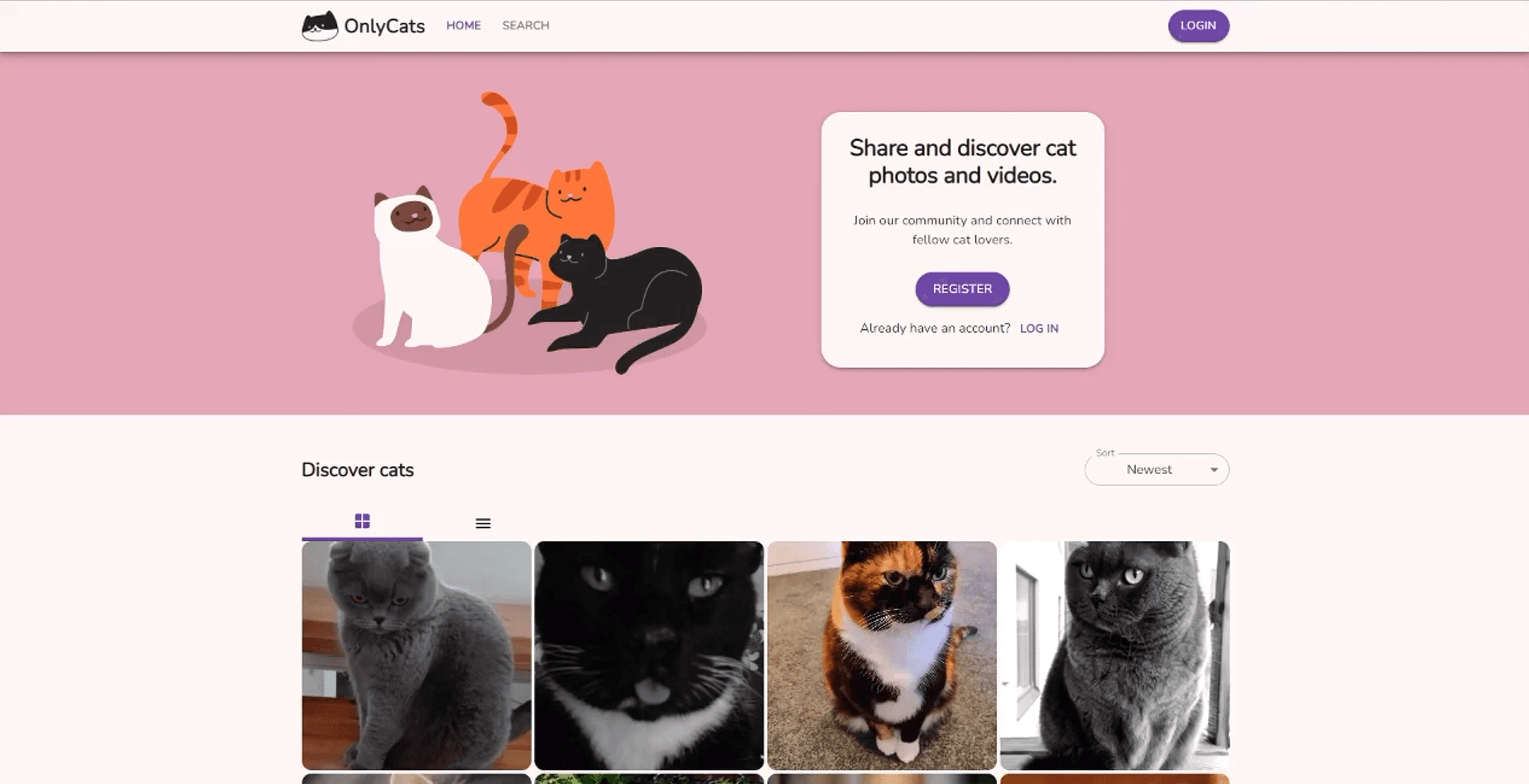Picture project called OnlyCats